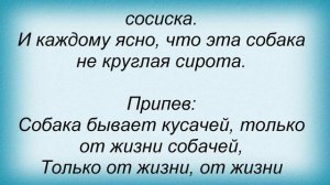 Слова песни Детские песни - Собака бывает кусачей