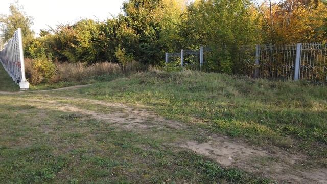 Самая ненужная станция МЦД? Ольгино! МЦД4 в Железнодорожном смотреть онлайн