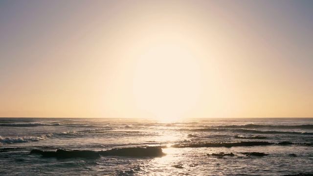 No, She Said [N°164] смотреть онлайн