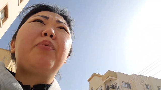 DSC во Льве и последние новости из моей жизни🌴🪻🙂 смотреть онлайн