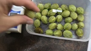2 серия КРЫЖОВНИК замер сахара в разных сортах крыжовника.