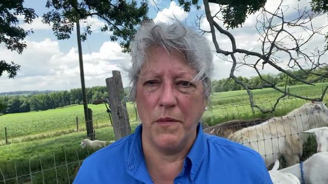 Answers to Often Asked Questions About Male and Female Goats. смотреть онлайн