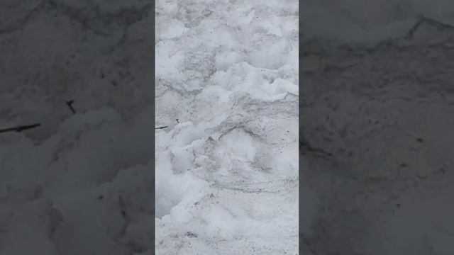 23 октября 2022 г. смотреть онлайн