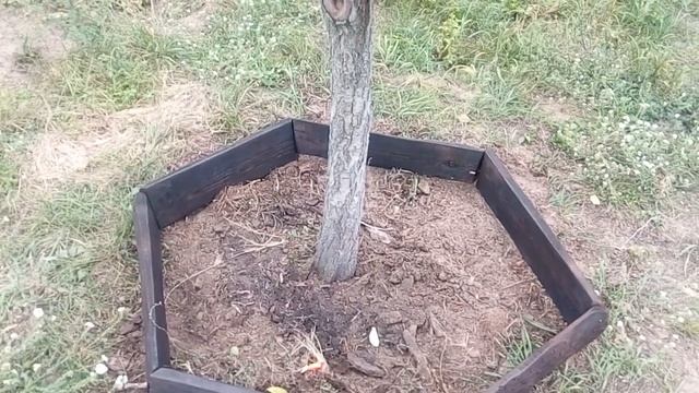 Декоративное ограждение для дерева, клумбы, грядки смотреть онлайн