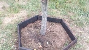 Декоративное ограждение для дерева, клумбы, грядки