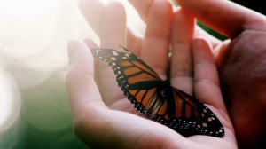 Мудрая притча "Все в твоих руках"