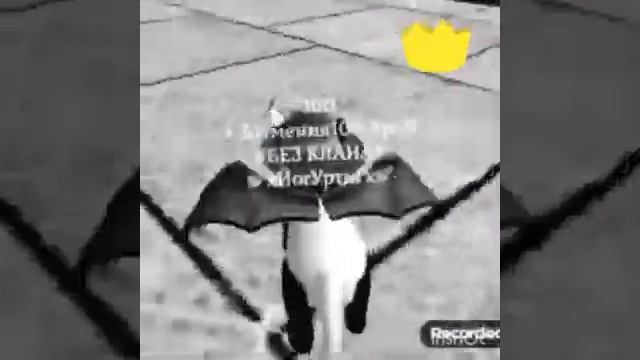 Я люблю ЧЁРНЫЙ цвет а вы какой? смотреть онлайн