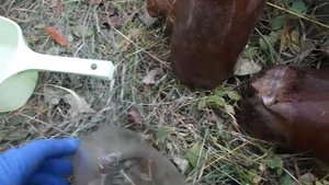 Народное поверье на 27 сентября. Закрываю отдушины в дачном  доме.