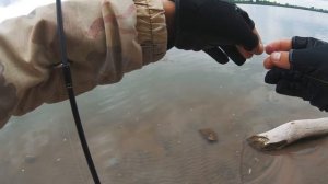 Секреты ловли пассивного судака на джиг. Как ловить судака - когда не клюёт  | Рыбалка с Fishingsib