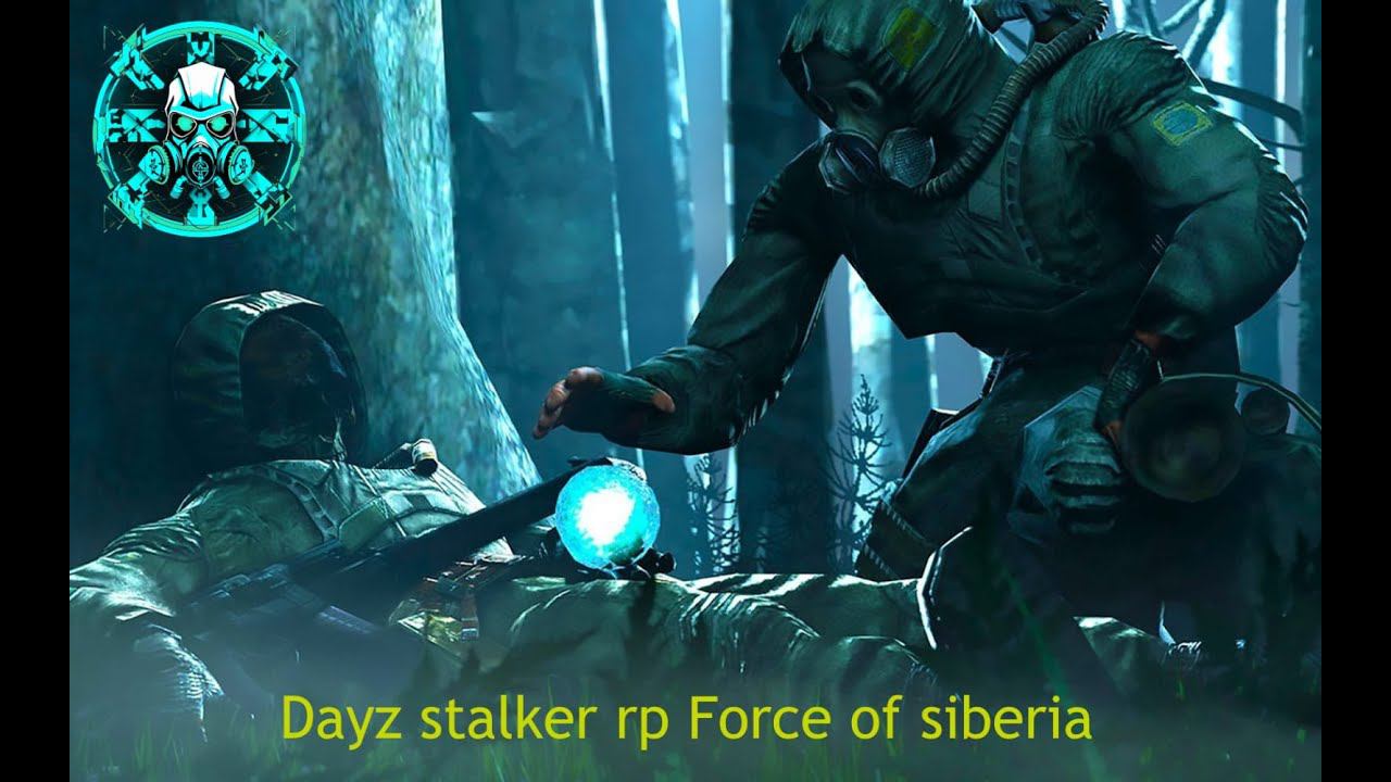 ☢️DAYZ STALKER RP • Force of Siberia • Опасная зона