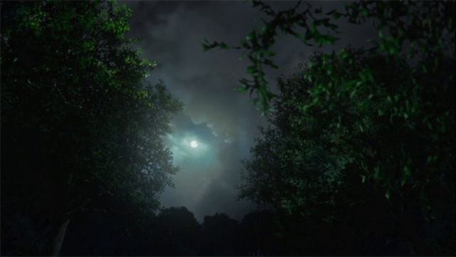 СБОРНИК СТРАШНЫХ ИСТОРИЙ - Стивена Кинга. смотреть онлайн