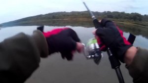 Ловля хищника осенью или YO ZURI L-MINNOW 44 вне конкуренции