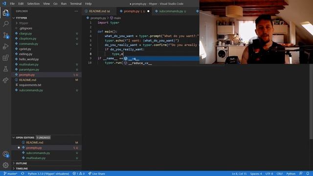 Python - Typer - Prompt смотреть онлайн