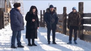 Малые формы хозяйствования в Каратузском районе успешно развиваются #СЕЛЬСКОЕХОЗЯЙСТВО