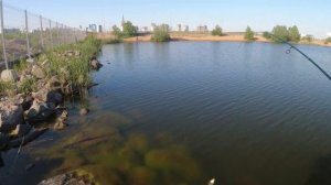 #247 | Мормышинг | Плотва на спиннинг |