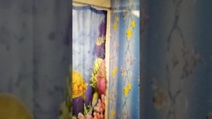 Душевая в бане (своими руками)