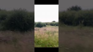 Поставил на питбайк колесо большего радиуса 18r