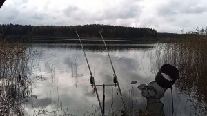 Ловля ЛЕЩА на фидер. Тестируем черную прикормку по холодной воде.