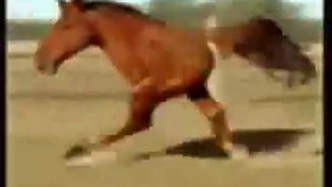 127 Проверка на психику если после этого видео ты засмеёшся то ты псих