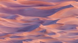 This Could Be Us - Rae Sremmurd (Speed Up)