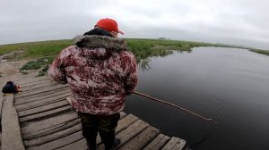 Как поймать ванну сазанов в деревне? Рыбалка на паук 2019 Паук рыбалка Подъемник рыболовный Рыбалка