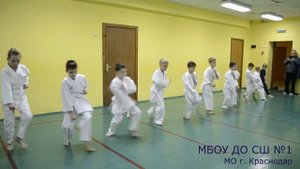 Открытый урок по карате ВКФ