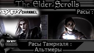 The Elder Scrolls-Расы Тамриэля-Альтмеры(Лор)