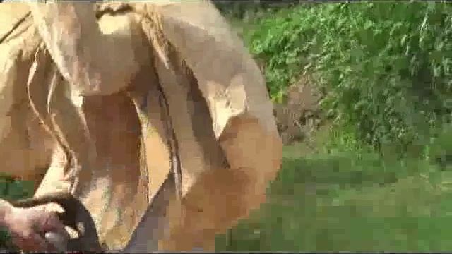 Японская бензопила смотреть онлайн