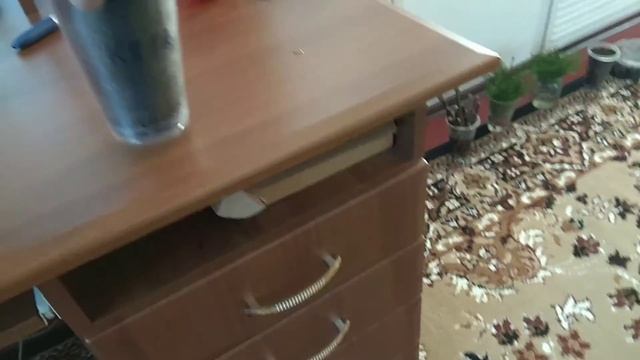 Пересадка катальпы/Catalpa transplant смотреть онлайн