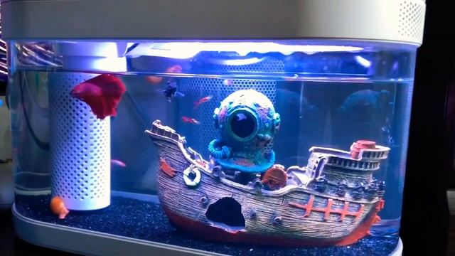 Обслуживание Xiaomi Аквариума. смотреть онлайн