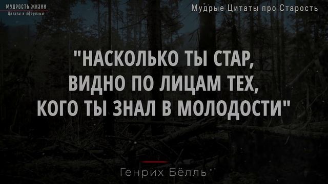 Как же Точно сказано! Мудрые цитаты про Старость, которые стоит услышать заранее смотреть онлайн