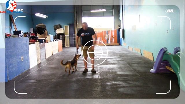 How To PUNISH A Dog | The Right and The GENTLE Way смотреть онлайн