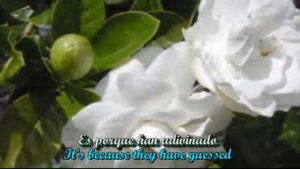 Dos Gardenias (Two Gardenias) - Buena Vista Social Club (Subt. en español & English)