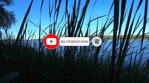 Рыбалка на ДОНУ на сазана! Рыбалка с ночёвкой! Рыбалка на Дону 2021! Рыбалка на сазана!