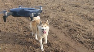 С Чезой на реке ищем места