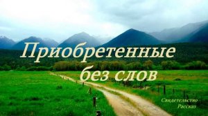 Приобретённые без слов.. (свидетельство-рассказ)
