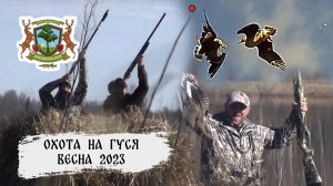 Весенняя охота на гуся в ОПК "Любокняжеское"
