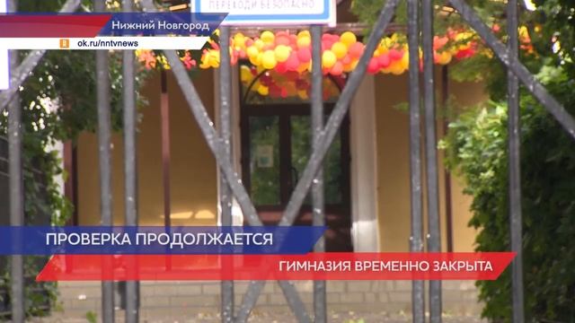 Причиной массового недомогания детей в  гимназии №13 Нижнего Новгорода оказался норовирус