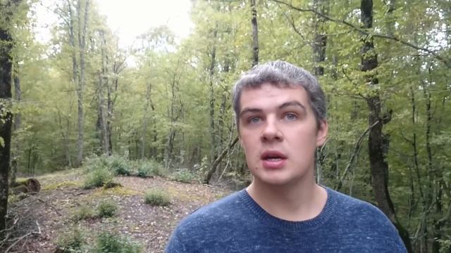 Исцеляющая Музыка