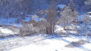 Лесноселье. Просто зима...