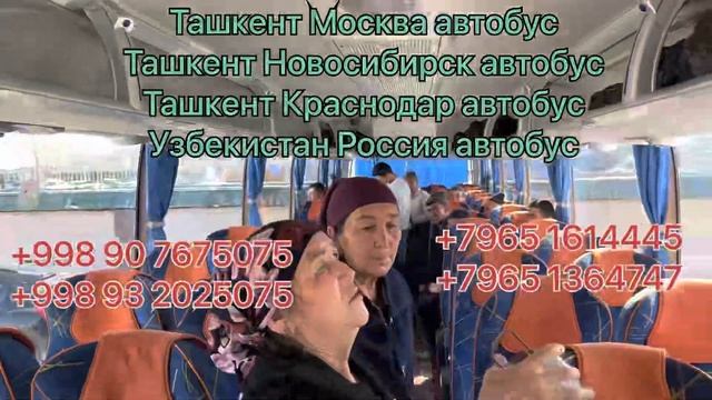 Ташкент Москва автобус Москва Ташкент автобус Ташкент Красноярске автобус Узбекистан Россия автобус
