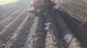 Окучивание картошки минитрактором