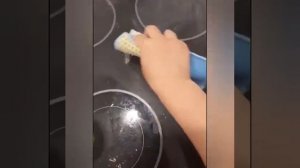 Спонж Сплиттер Гринвей. Ваши отзывы!