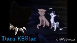 [Warriors Cats] | Коты Воители | Бич | Цирк уехал клоуны остались | Заказ