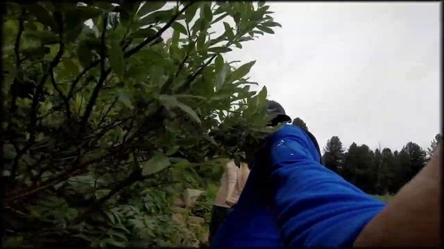 Мото-Алтай июль 2019 смотреть онлайн