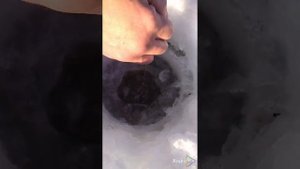 Рыбалка Бурейское водохранилище 03.02.2024