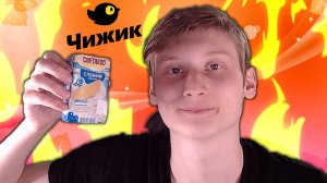 ОБЗОР НА МОРОЖЕНОЕ СВЕТАЕВО ПЛОМБИР ВАНИЛЬНЫЙ ИЗ ЧИЖИКА