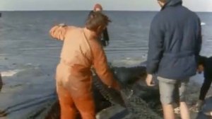Подводная одиссея команды Кусто