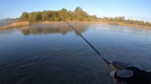 Утренняя рыбалка на голавля под пение соловьёв!!! Рыбалка на КРАСИВОЙ реке Пьяна!!!