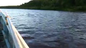 Лодочный мотор Ямаха 8